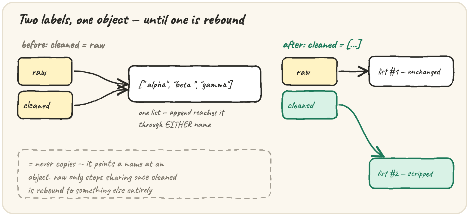 Two labels "raw" and "cleaned" both pointing at one list before an append; after cleaned = [...] rebinds cleaned onto a new stripped list while raw still points at the original, unchanged